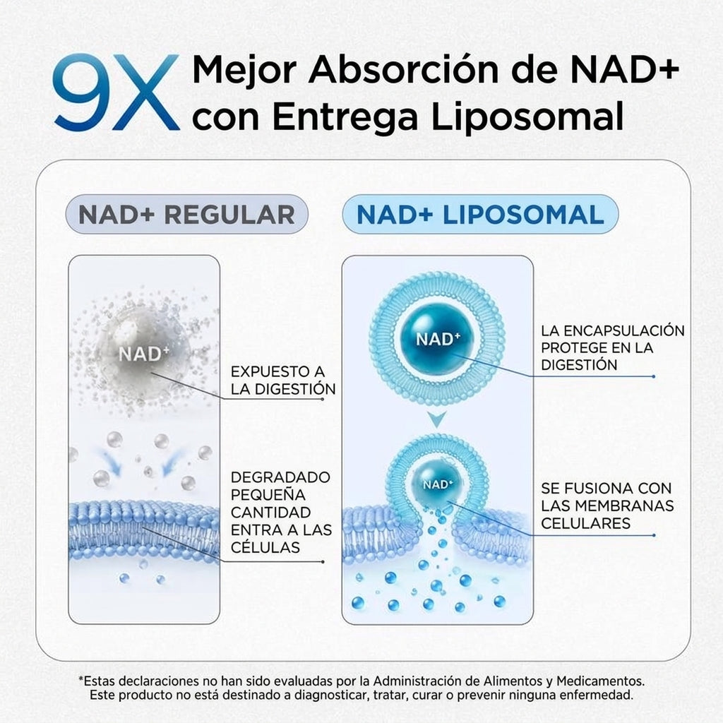 NAD+ Complejo para Hombres