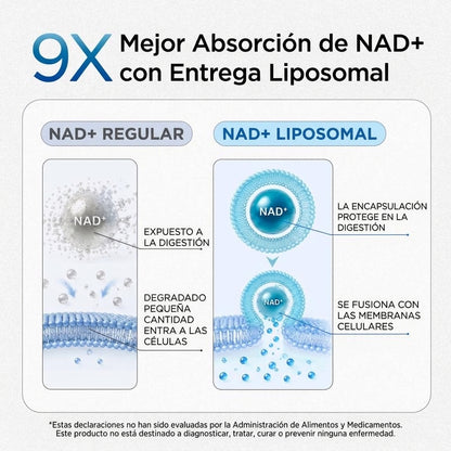 NAD+ Complejo para Hombres