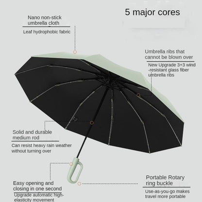 Essential Umbrella